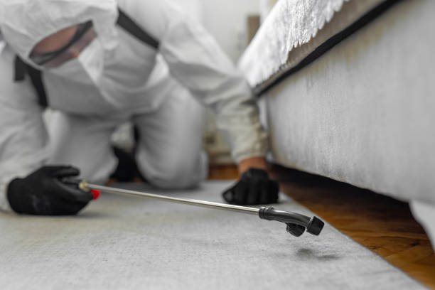 Professional Bed Bug Control technician working in Dresser, WI